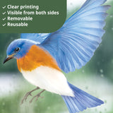 Birds Window Clings Stickers