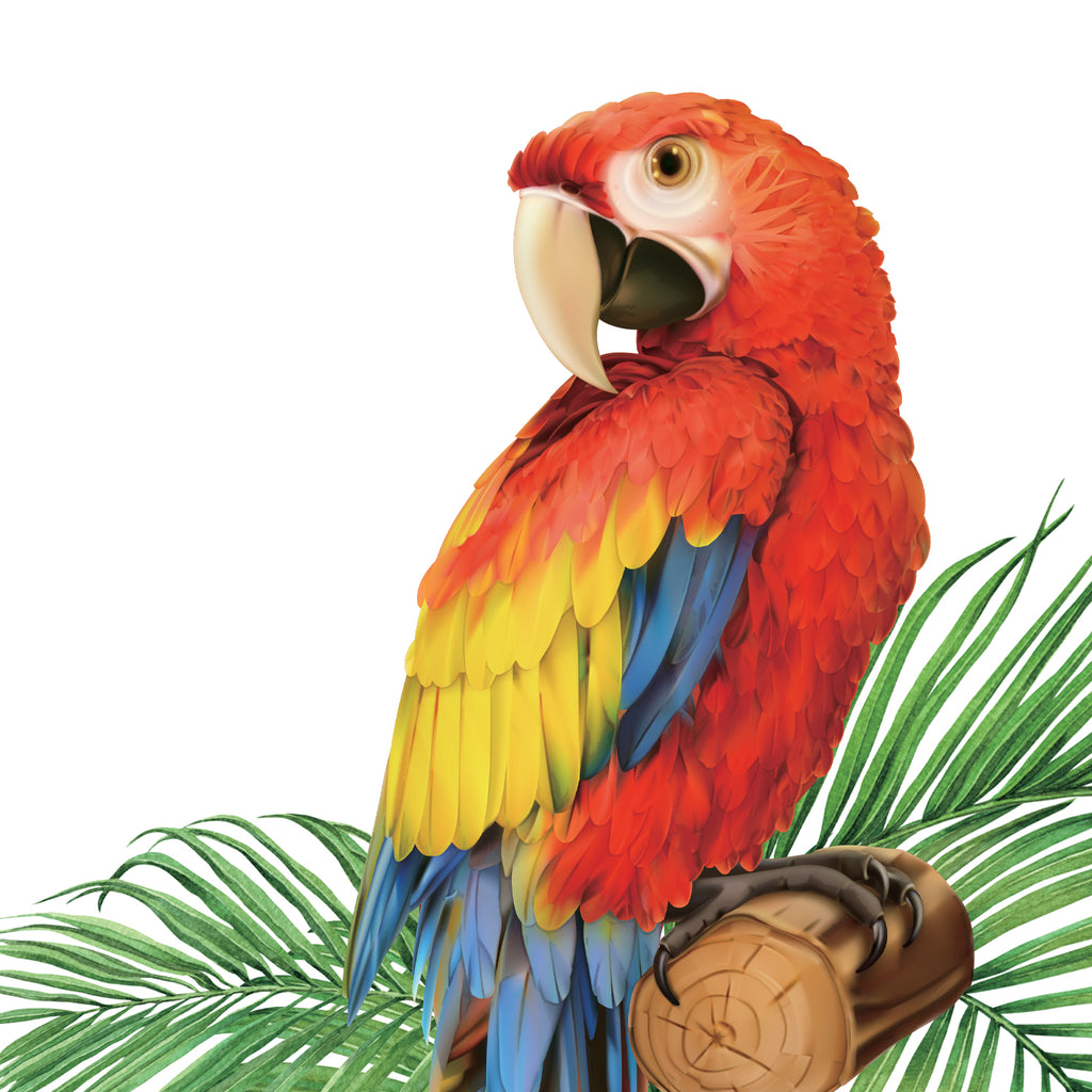 Tropical Plants and Parrots Wall Stickers