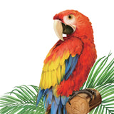 Tropical Plants and Parrots Wall Stickers
