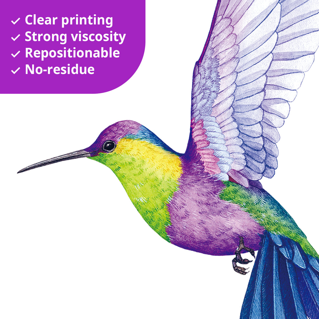 Tropical Flowers and Hummingbirds Wall Stickers