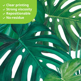 Tropical Leaves Wall Stickers