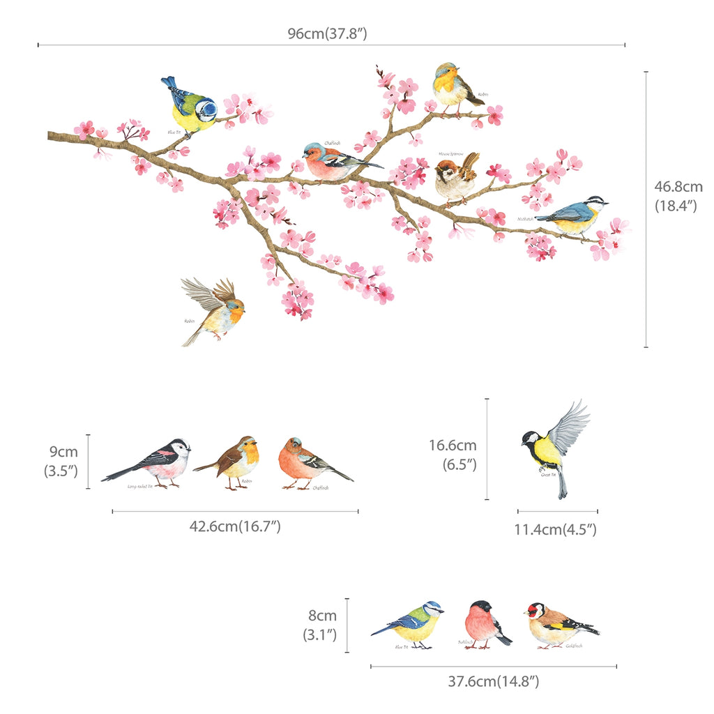Cherry Blossom & Garden Birds Wall Stickers