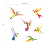 Hummingbirds Wall Stickers