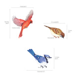 Little Birds Wall Stickers(Small) - DECOWALL