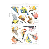 Little Birds Wall Stickers(Small)