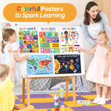 18 Peel & Stick Educational Posters for Classroom & Nursery