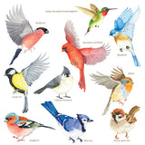 Garden Birds Window Clings Stickers