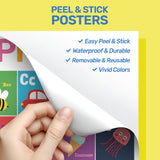 18 Peel & Stick Educational Posters for Classroom & Nursery