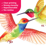 Hummingbirds Wall Stickers