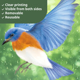 Birds Window Clings Stickers