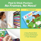 18 Peel & Stick Educational Posters for Classroom & Nursery