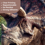 3D Dinosaur Wall Stickers