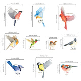 Garden Birds Window Clings Stickers