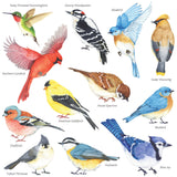 Little Birds Wall Stickers(Small) - DECOWALL