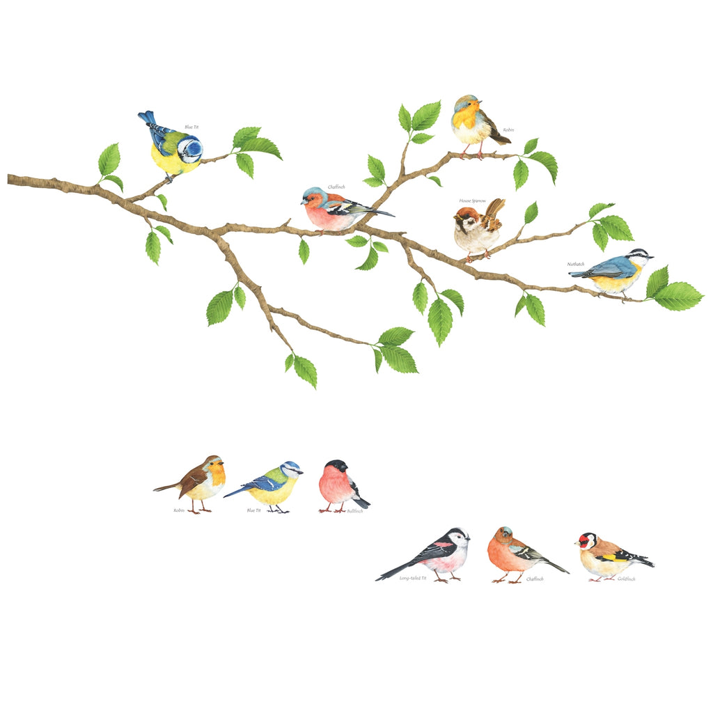 Garden Birds Wall Stickers (Small)